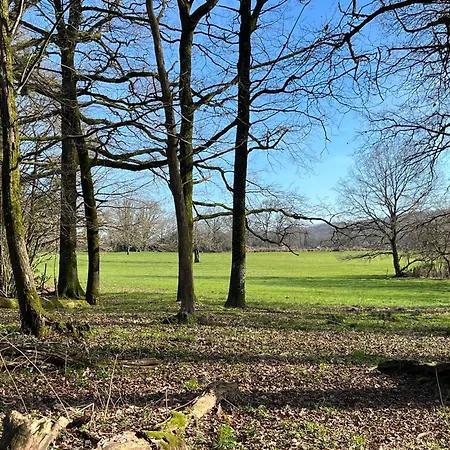 לינה וארוחת בוקר Le Charme Du Perigord - & Table D'hotes 3*