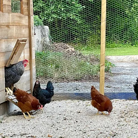 Le Charme Du Perigord - & Table D'hotes