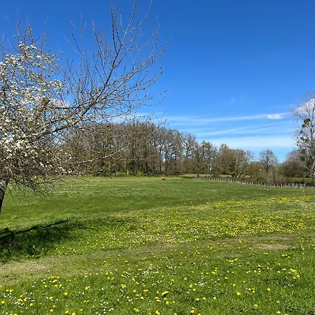 Le Charme Du Perigord - & Table D'hotes Bed & Breakfast