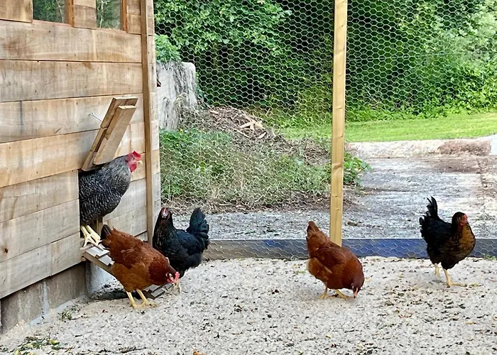 Le Charme Du Perigord - & Table D'hotes