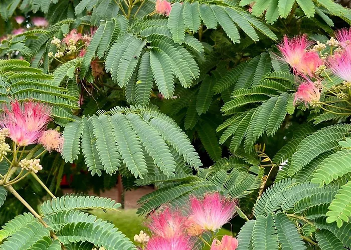 Bed & Breakfast Le Charme Du Perigord - & Table D'hotes 3*