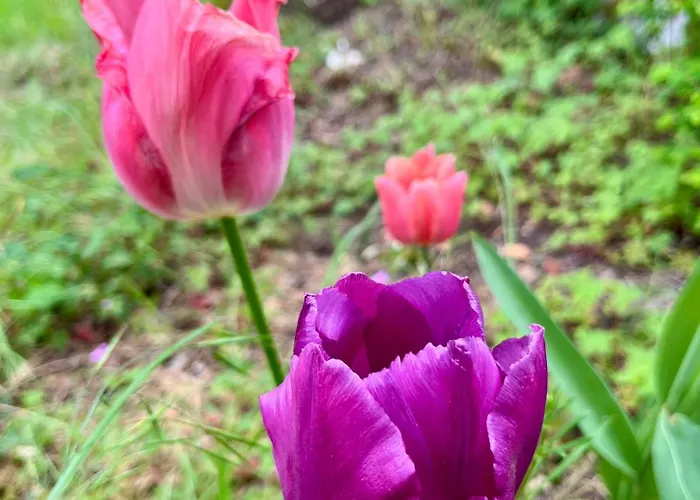 Le Charme Du Perigord - & Table D'hotes Bed & Breakfast Saint-Sulpice-d'Excideuil